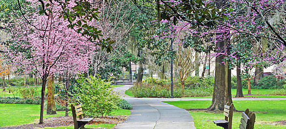 Forsyth Park