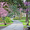 Forsyth Park