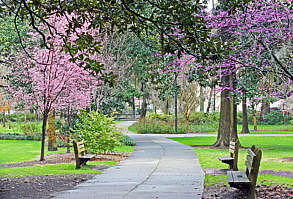 Forsyth Park