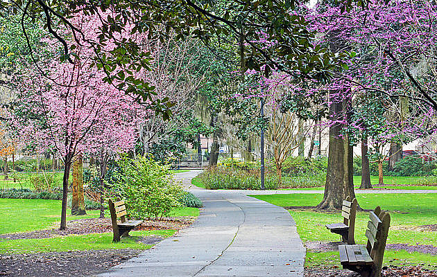 Forsyth Park